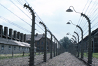 Poland ID 101289.jpg